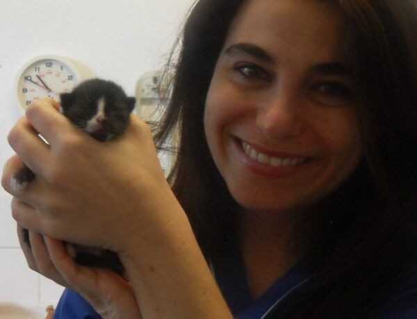 Dr Gabriella Papa Mobile Vet at Advanced Veterinary Services,